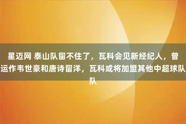 星迈网 泰山队留不住了，瓦科会见新经纪人，曾运作韦世豪和唐诗留洋，瓦科或将加盟其他中超球队