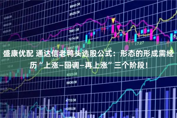 盛康优配 通达信老鸭头选股公式:形态的形成需经历“上涨—回调—再上涨”三个阶段!