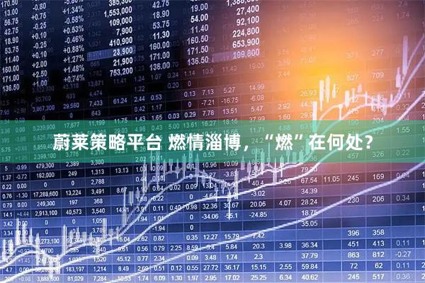 蔚莱策略平台 燃情淄博，“燃”在何处？